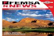 FEMSA News Summer 2008