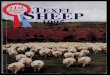 Texel Sheep Society Journal, 1995