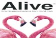 Alive catalog ru