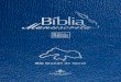 Bíblia Manuscrita - RN - Volume 1