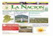 La Nacion Quince Dias, Edicion 244