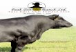 Peak Dot Ranch Fall Bull & Female Sale 2011