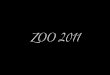 zoo 2011 delin