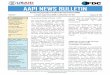 AAPI Bulletin Vol 8 October2011 (English)