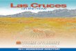 Las Cruces NM Community Profile