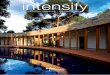 intensify Issue 3