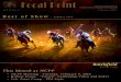 Focal Point Feb-10