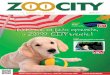 ZOO CITY katalog srpanj 2011