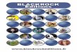 Blackrock 2014