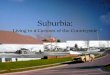 Suburbia: Living in a Cartoon of the Countryside