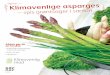 Opskriftsbog klimavenlig asparges enkeltopslag