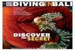 AquaMarine Diving - Bali "Discover The Secret" 2007