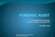 Forensic audit 28 april 2013