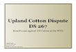 The Upland Cotton Dispute DS267