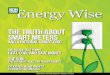 Energy Wise 2013