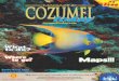 COZUMEL TODAY Special Edition June 2013