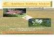Amber Valley Voice, Swanwick, Riddings and Leabrooks Edition, June 2012