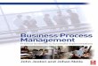 Business Process Management Practical Guidelines