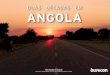Duas Décadas em Angola - Two Decades in Angola
