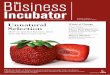 The Business Incubator 1 - Contents