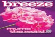 Breeze Magazine - March
