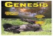 Genesis 2000-4
