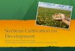 Soybean Cultivation for Development (Slide Presentation)