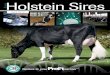 Holstein Sires April 2012 von CRI International