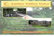 Amber Valley Voice, Swanwick, Riddings and Leabrooks Edition, August 2012