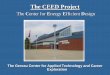 The CEED Project
