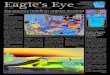 Eagle's Eye 021612
