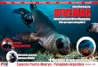 DIVEMAG | Edição 08 | International Dive Magazine