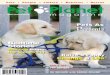 The Pet Planet Magazine, Winter 2008/09