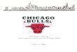 Chicago Bulls Brand Audit