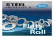 Steel Insights - May 2012
