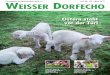 Weisser Dorfecho 134