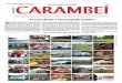 Carambeí Notícias edição 49