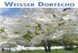 Weisser Dorfecho 147
