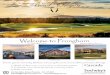 Pronghorn Ads Overview