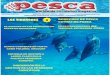 Revista Pesca agosto 2011