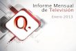 Informe Mensual TV Enero 2013