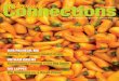 Organic Connections Magazine January-February 2012