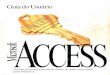 Microsoft Access - Guia do Usuário I - até pag 422