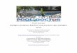 Custom inground pool designs pool doctor designs 2014