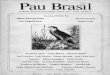 Pau Brasil 07 jul ago 85