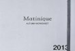 Matinique 1307 worksheets