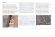 Constructing Environments Log Book Interim
