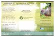 MX Gardening Event Flyer