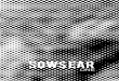 SOWS EAR 01