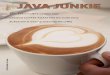 Java Junkie Ed 3